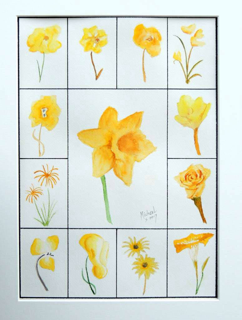 Yellow Daffodil