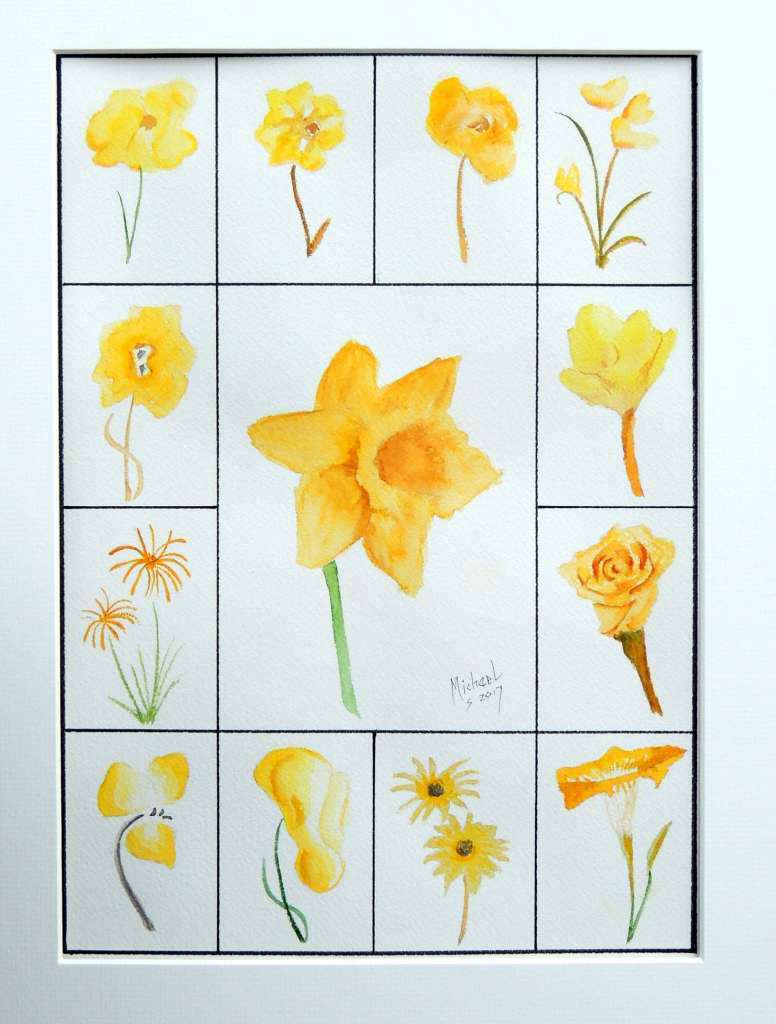 Yellow Daffodil